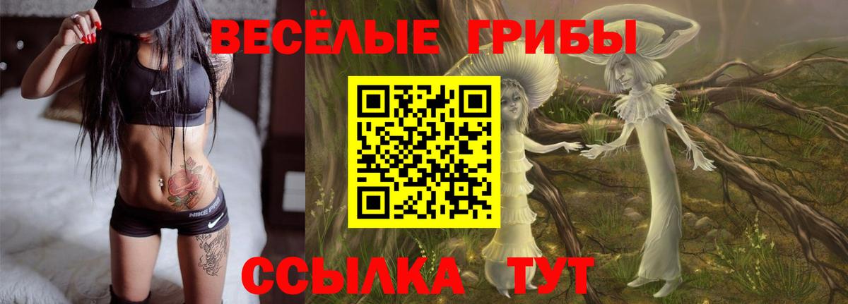 Псилоцибиновые грибы Psilocybine cubensis  Галлюциногенные грибы мухоморы  наркотики  Вход с VPN  Псков 